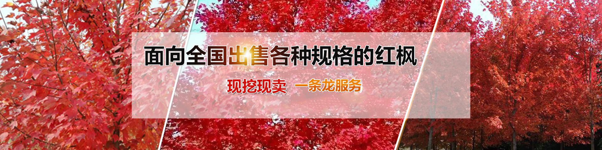 濟寧勝威新能源科技有限公司