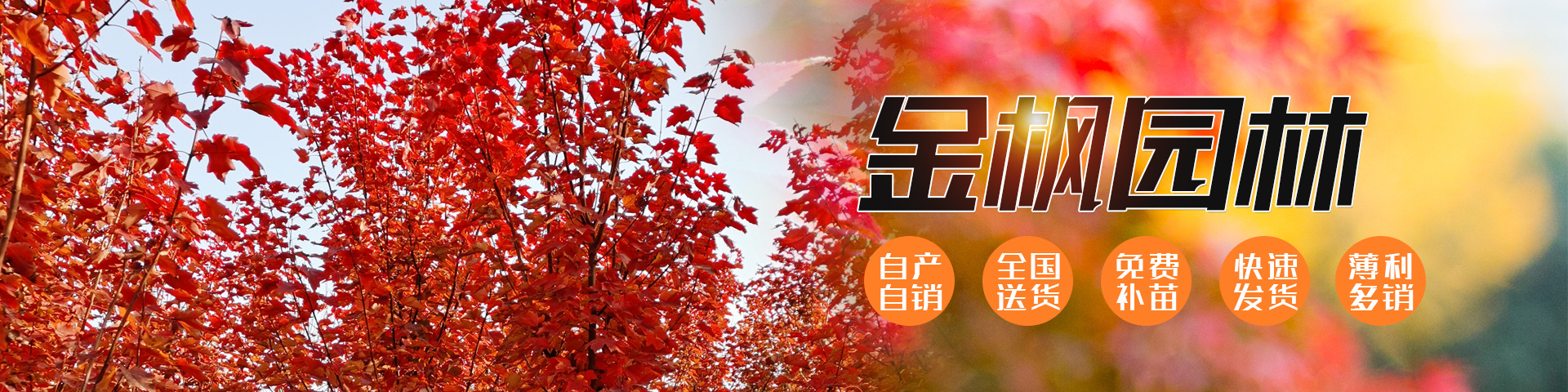 濟寧勝威新能源科技有限公司